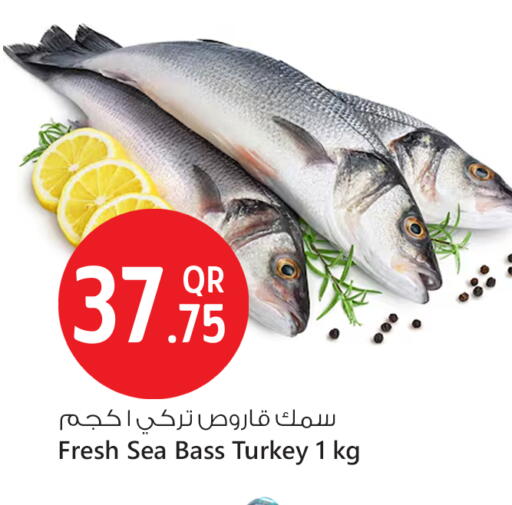 available at سفاري هايبر ماركت in قطر - أم صلال