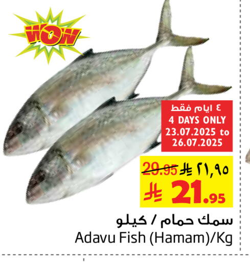 available at Layan Hyper in KSA, Saudi Arabia, Saudi - Dammam