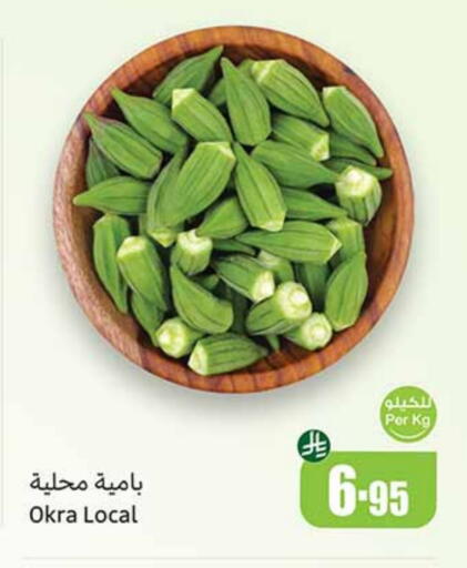 Fresh Vegetables in Othaim Markets, Saudi Arabia Offers - Saudi Arabia Lady's finger available at Othaim Markets in KSA, Saudi Arabia, Saudi - Al Qunfudhah