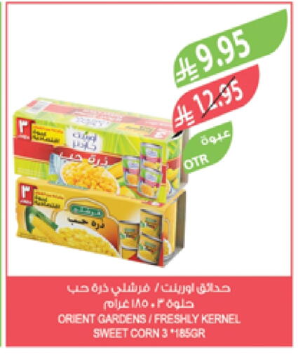 FRESHLY available at Farm  in KSA, Saudi Arabia, Saudi - Al Bahah