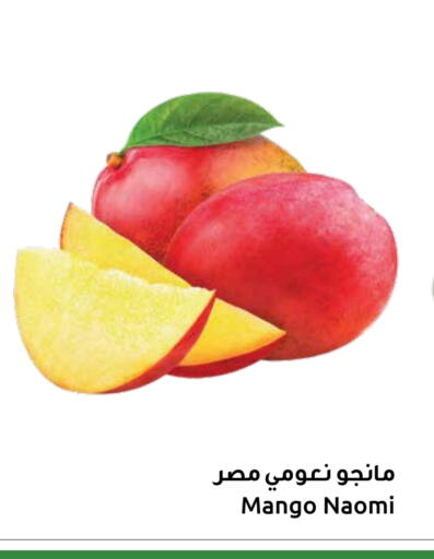 Mangoes available at Sultan Center  in Oman - Muscat