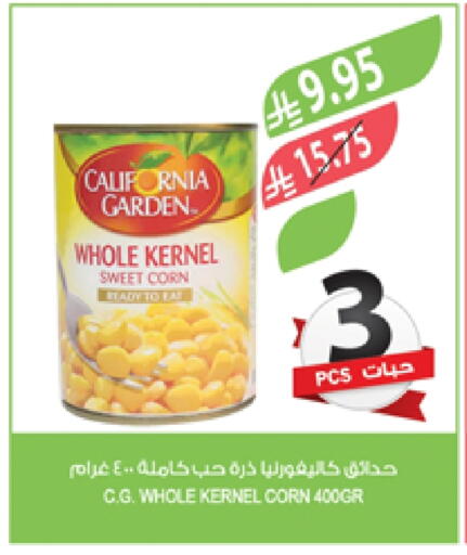 CALIFORNIA GARDEN available at Farm  in KSA, Saudi Arabia, Saudi - Qatif