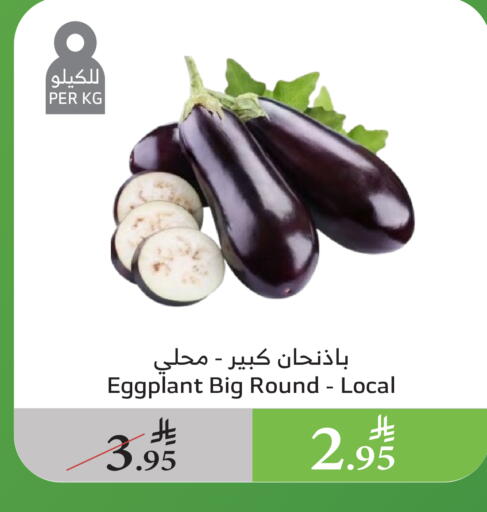 Fresh Vegetables in Al Raya, Saudi Arabia Offers - Saudi Arabia Eggplant available at Al Raya in KSA, Saudi Arabia, Saudi - Al Qunfudhah
