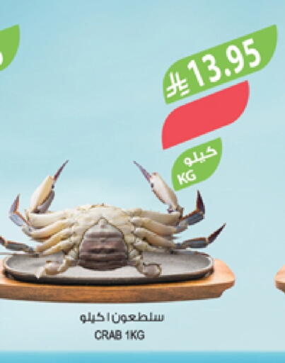 available at المزرعة in مملكة العربية السعودية, السعودية, سعودية - سيهات