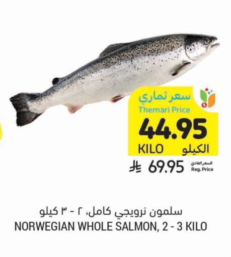 available at أسواق التميمي in مملكة العربية السعودية, السعودية, سعودية - سيهات