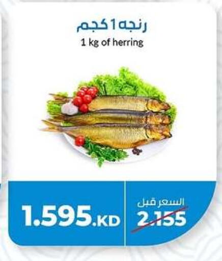 available at جمعية خيطان التعاونية in الكويت - محافظة الأحمدي