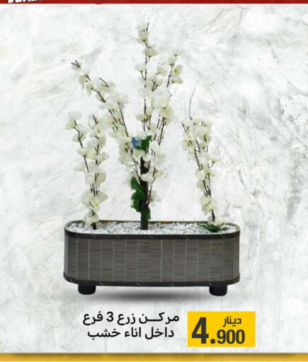 Home Furnishing & Decor in Meem Central Market Co, Kuwait Offers - Kuwait available at Meem Central Market Co in Kuwait - Kuwait City