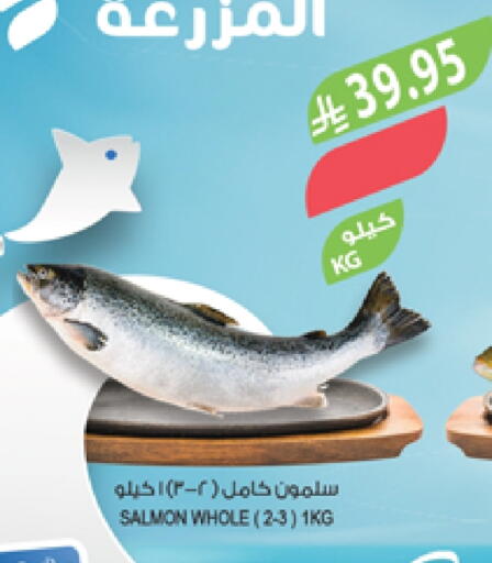 available at المزرعة in مملكة العربية السعودية, السعودية, سعودية - سيهات