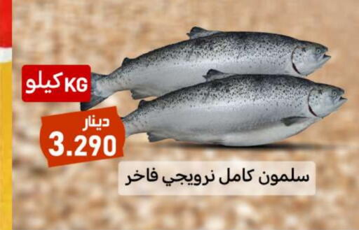 available at شركة سوق ميم المركزي  in الكويت - محافظة الجهراء