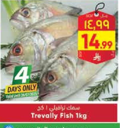 available at ستي فلاور in مملكة العربية السعودية, السعودية, سعودية - حائل‎