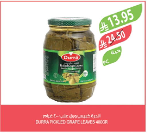 DURRA available at Farm  in KSA, Saudi Arabia, Saudi - Qatif