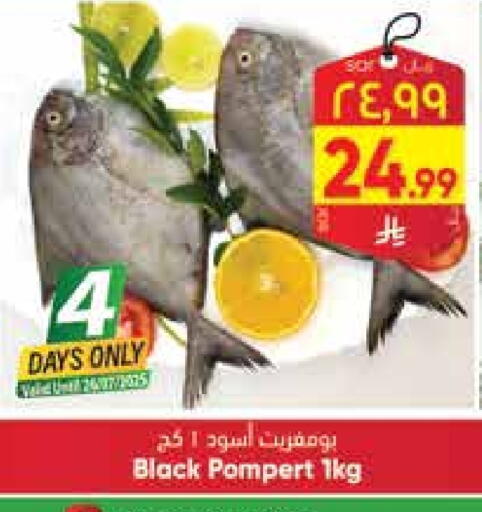 available at ستي فلاور in مملكة العربية السعودية, السعودية, سعودية - حائل‎