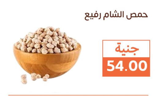 available at Ghallab Market in Egypt - Cairo