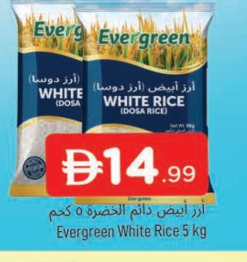 available at المدينة in الإمارات العربية المتحدة , الامارات - الشارقة / عجمان