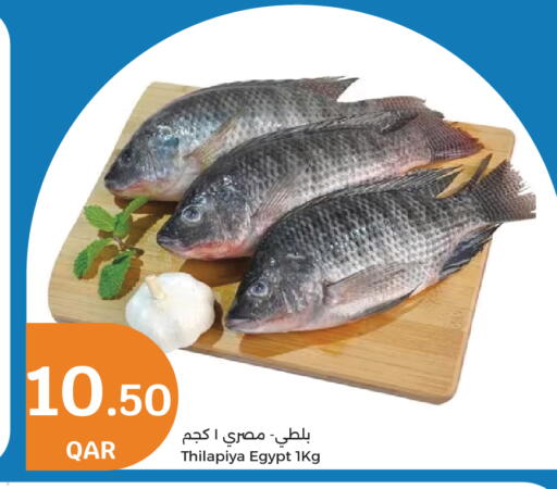 available at سيتي هايبرماركت in قطر - أم صلال