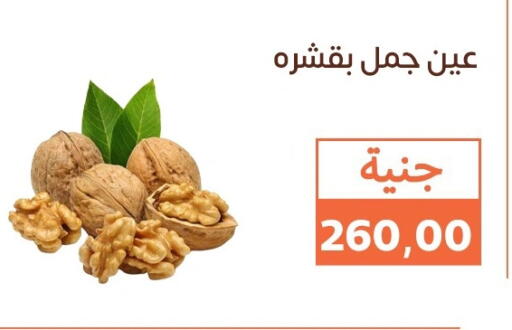 available at Ghallab Market in Egypt - Cairo