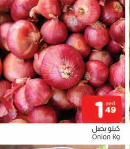 بصل available at المدينة in الإمارات العربية المتحدة , الامارات - الشارقة / عجمان