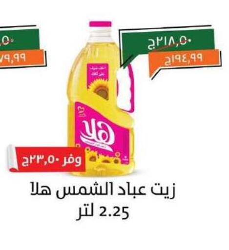 Sunflower Oil available at Kheir Zaman  in Egypt - Cairo