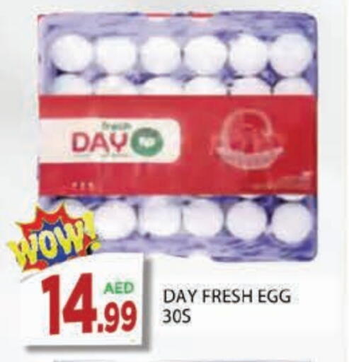 available at المدينة in الإمارات العربية المتحدة , الامارات - الشارقة / عجمان