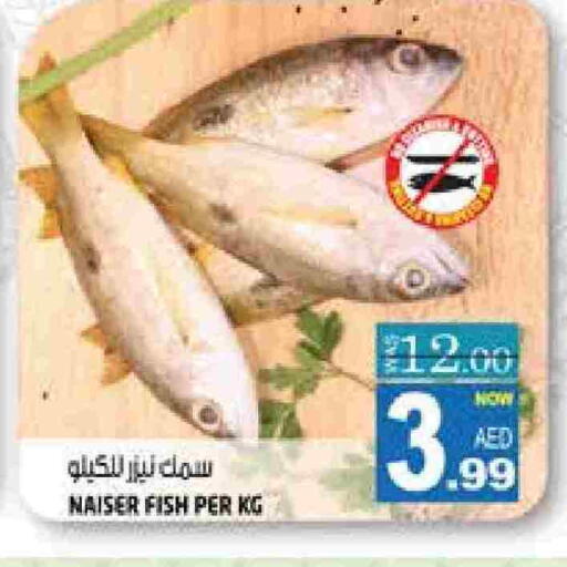 available at هاشم هايبرماركت in الإمارات العربية المتحدة , الامارات - الشارقة / عجمان
