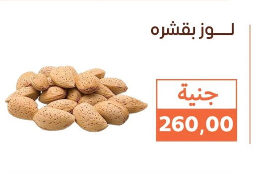 available at Ghallab Market in Egypt - Cairo