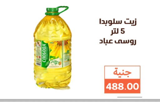 زيوت و سمن in سوق غلاب, Egypt Offers - Egypt available at سوق غلاب in Egypt - القاهرة