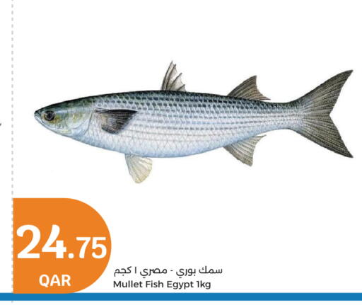 available at سيتي هايبرماركت in قطر - أم صلال