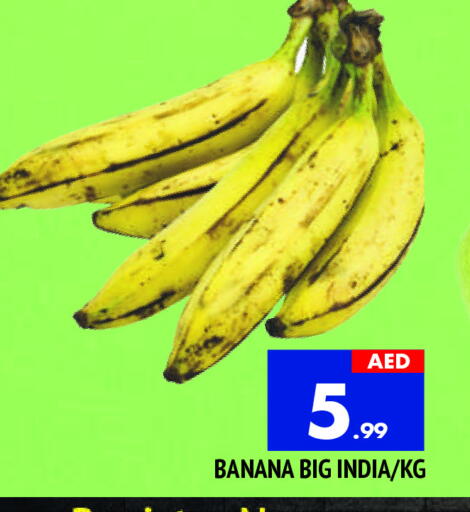 موز from India available at المدينة in الإمارات العربية المتحدة , الامارات - الشارقة / عجمان