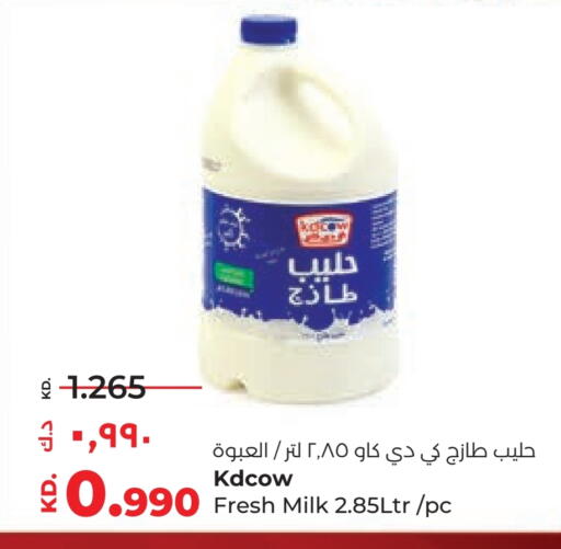 كيدي كاو حليب طازج available at لولو هايبر ماركت in الكويت - مدينة الكويت