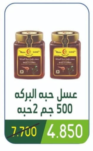 عسل available at جمعية غرناطة التعاونية in الكويت - محافظة الجهراء
