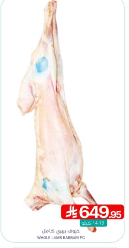 Mutton / Lamb available at Muntazah Markets in KSA, Saudi Arabia, Saudi - Saihat