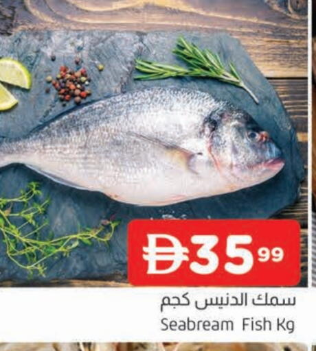 available at المدينة in الإمارات العربية المتحدة , الامارات - الشارقة / عجمان