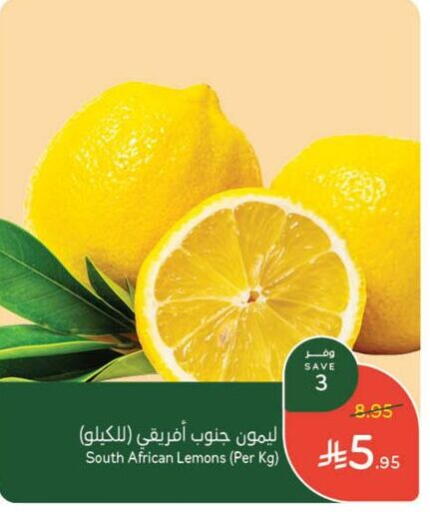 from South Africa available at Hyper Panda in KSA, Saudi Arabia, Saudi - Saihat