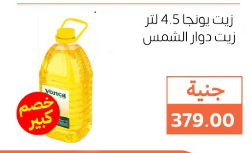 Sunflower Oil available at Ghallab Market in Egypt - Cairo