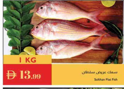available at إسطنبول سوبرماركت in الإمارات العربية المتحدة , الامارات - الشارقة / عجمان