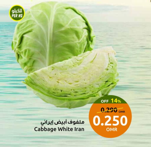 Cabbage from Iran available at Sultan Center  in Oman - Muscat