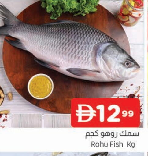 available at المدينة in الإمارات العربية المتحدة , الامارات - الشارقة / عجمان