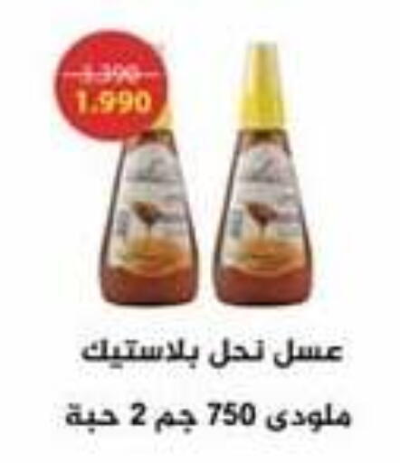 عسل available at جمعية الوفرة التعاونية in الكويت - محافظة الأحمدي