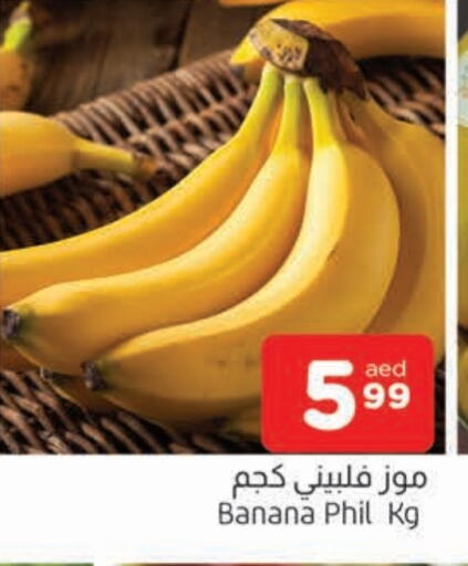 موز available at المدينة in الإمارات العربية المتحدة , الامارات - الشارقة / عجمان