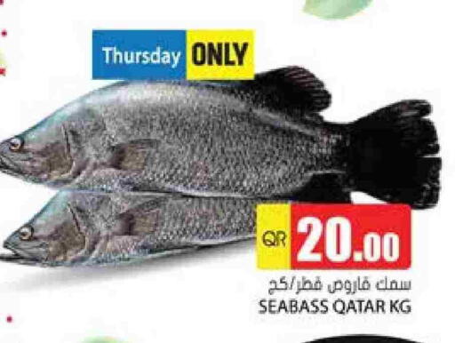 available at جراند هايبرماركت in قطر - أم صلال