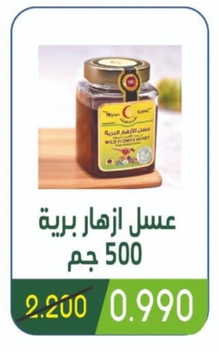 عسل available at جمعية غرناطة التعاونية in الكويت - محافظة الجهراء