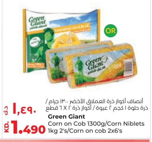 available at Lulu Hypermarket  in Kuwait - Ahmadi Governorate