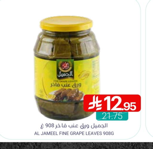 available at Muntazah Markets in KSA, Saudi Arabia, Saudi - Qatif