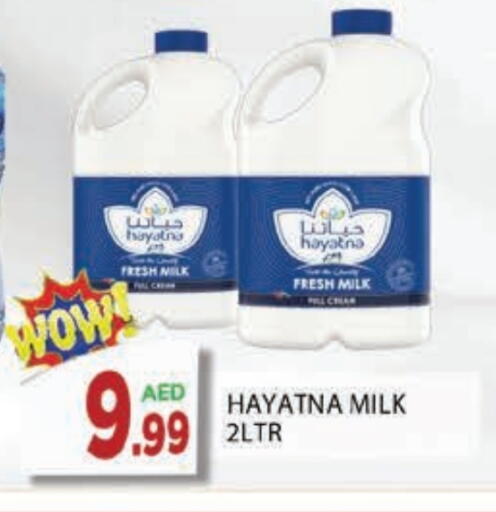 HAYATNA Fresh Milk available at AL MADINA in UAE - Sharjah / Ajman