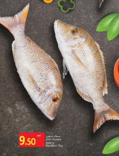 available at جلف فود سنتر in قطر - أم صلال