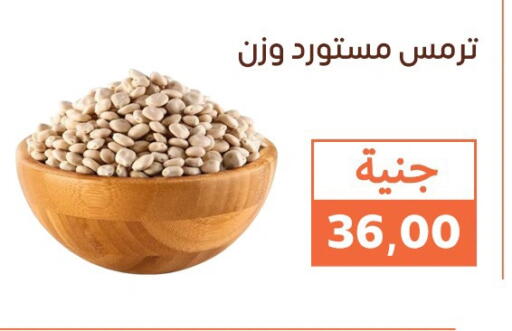 available at Ghallab Market in Egypt - Cairo