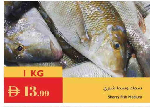 available at إسطنبول سوبرماركت in الإمارات العربية المتحدة , الامارات - الشارقة / عجمان