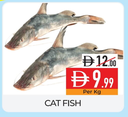 available at Delice Supermarket in UAE - Abu Dhabi