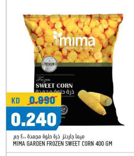 available at Oncost in Kuwait - Ahmadi Governorate