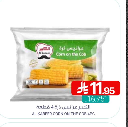 available at اسواق المنتزه in مملكة العربية السعودية, السعودية, سعودية - سيهات